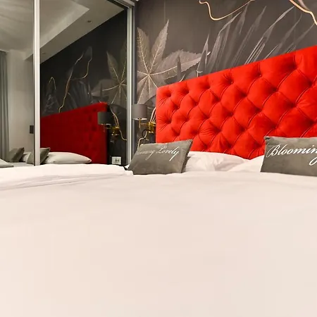 An & Lu With Rooftop Jacuzzi