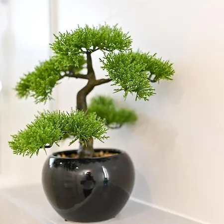 An & Lu With Rooftop Jacuzzi *