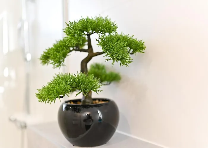 An & Lu With Rooftop Jacuzzi *